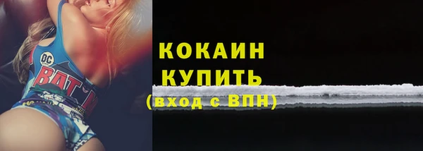 сатива Армянск