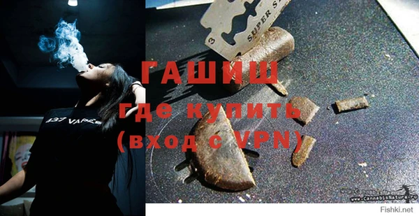 сатива Армянск