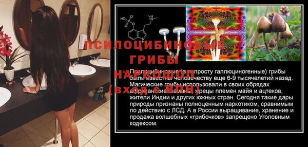 сатива Армянск
