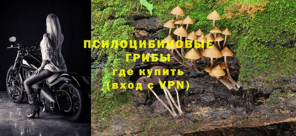 сатива Армянск