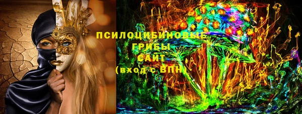 сатива Армянск